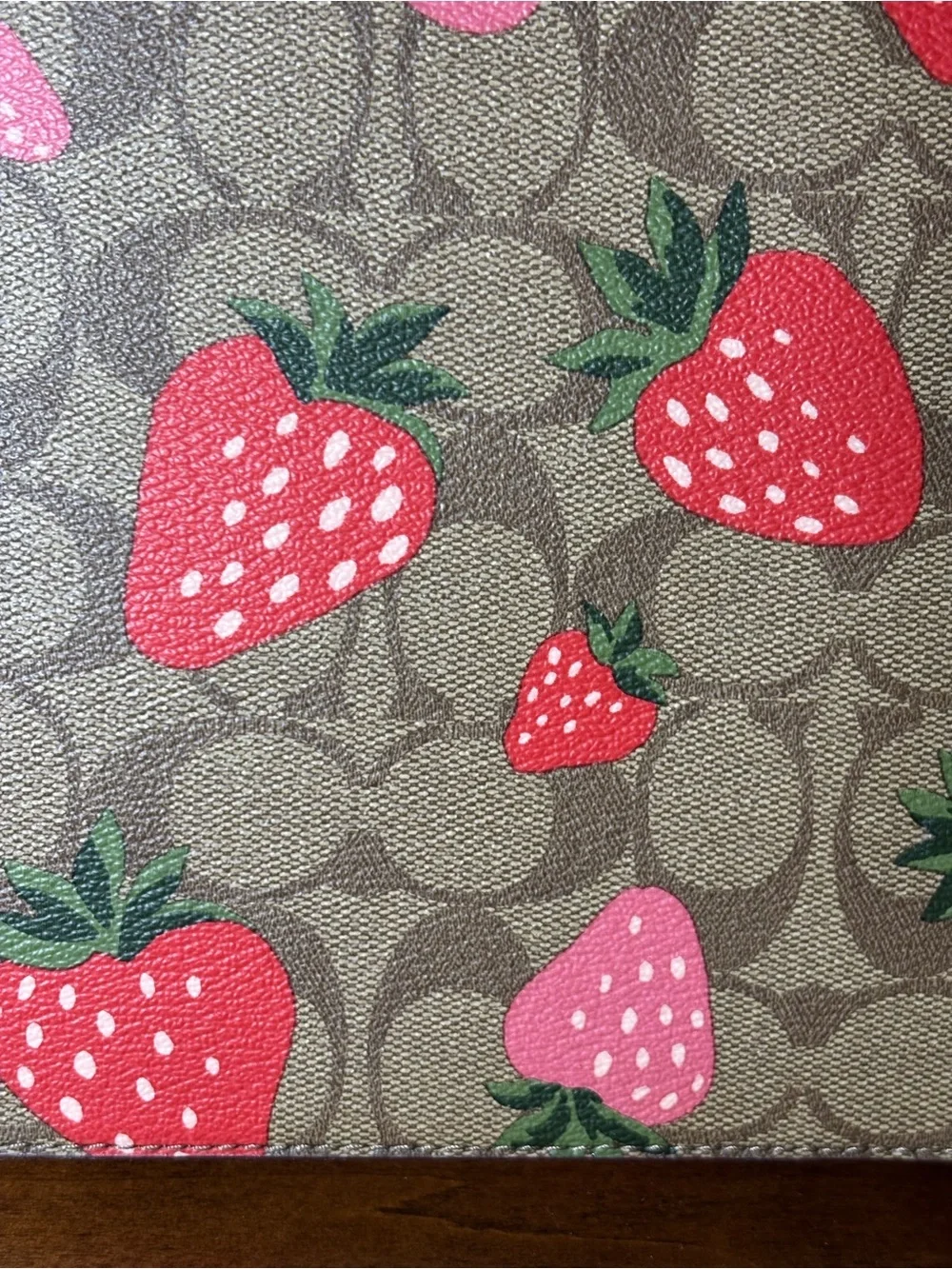 Coach Strawberry Canvas Zip Laptop Sleeve Portfolio Case 13” Style CH833
